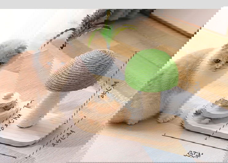 Cat Toy Scratching Post - maxsophie.com