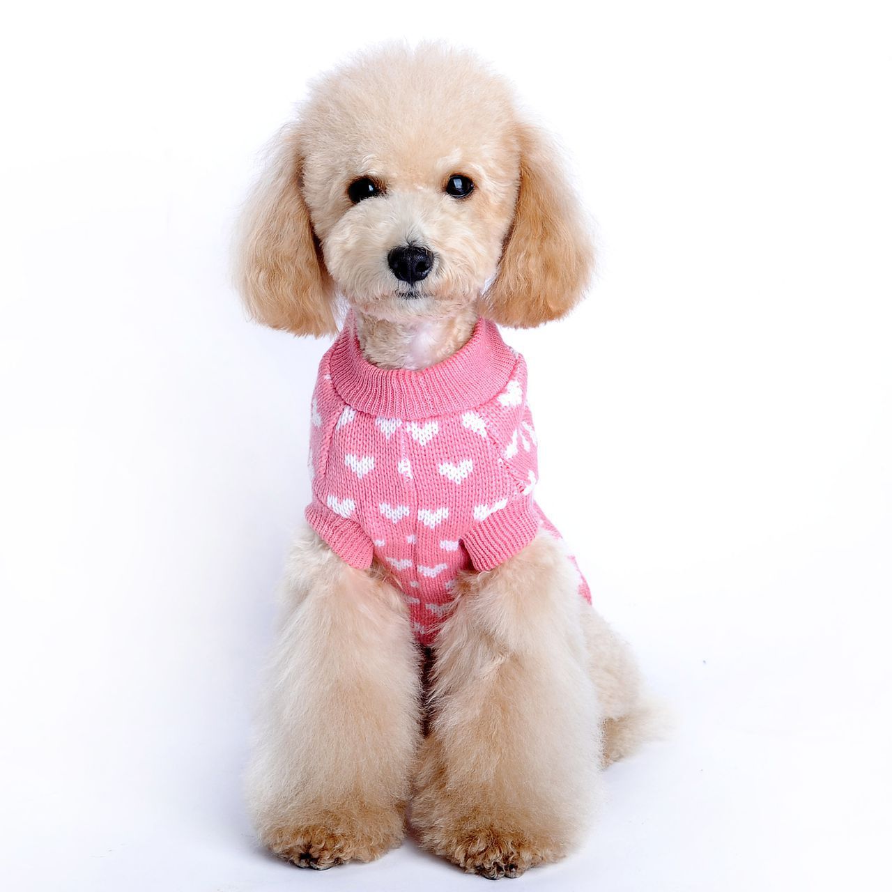 Cute Pink Heart Pattern Dog Clothes - maxsophie.com