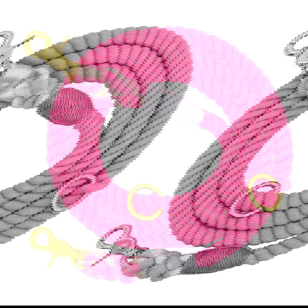 Gradient Color Dog Leashes - My Store - - #tag1# - #tag2#