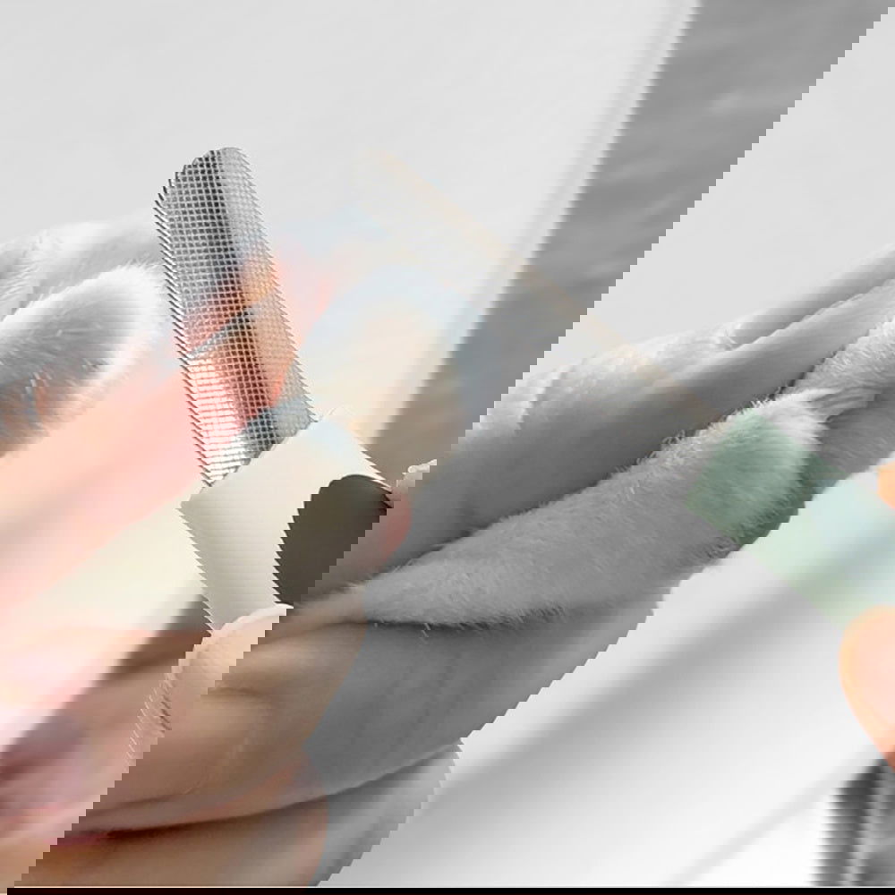 Professional Dog Grooming Kit - My Store - - #tag1# - #tag2#