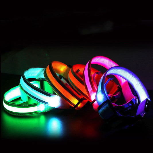Anti-lost Led Luminous Dog Collar - My Store - - #tag1# 