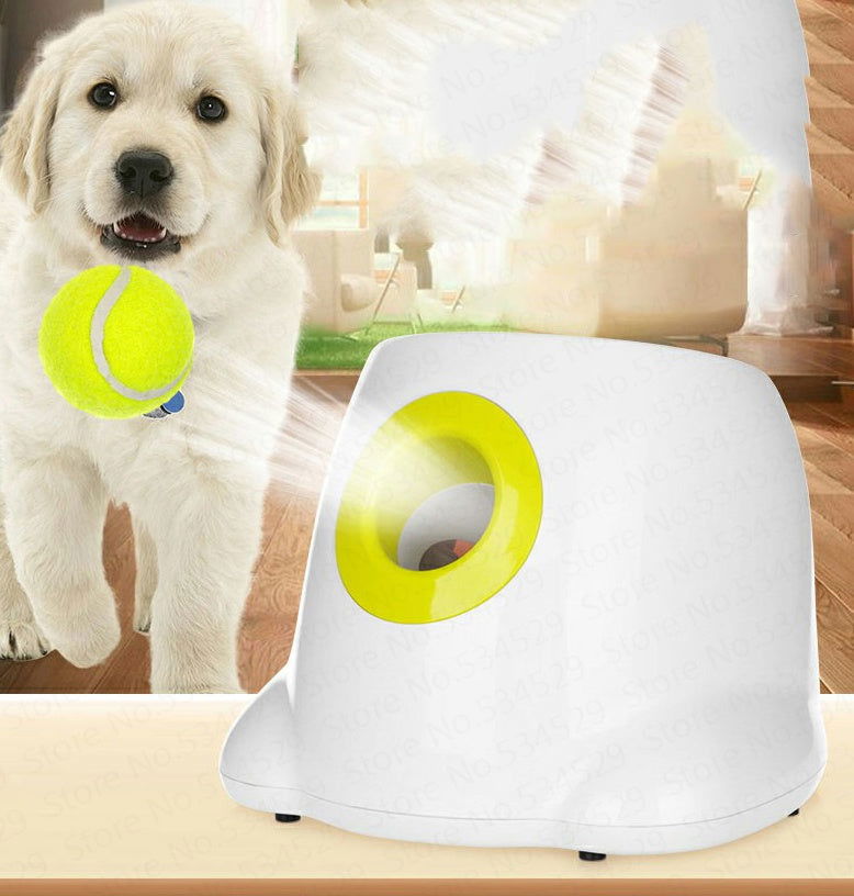 Automatic Dog Ball Launcher - maxsophie.com