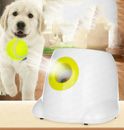 Automatic Dog Ball Launcher - maxsophie.com