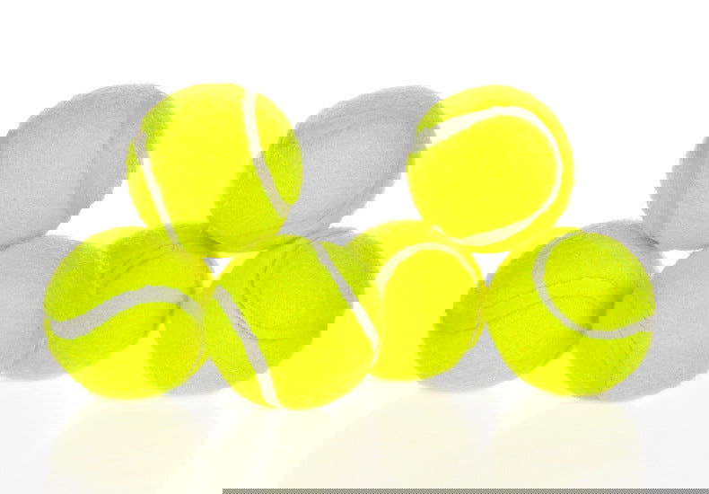 Automatic Dog Ball Launcher - maxsophie.com