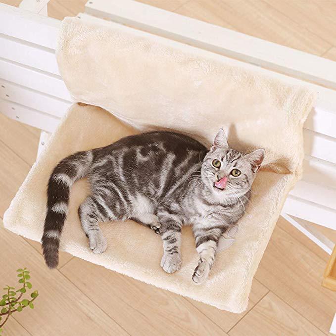 Cat Hammock - maxsophie.com