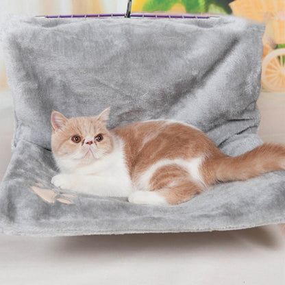 Cat Hammock - maxsophie.com