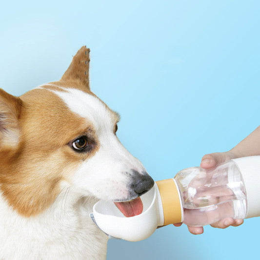 Dog Water Bottle and Food Container - maxsophie.com