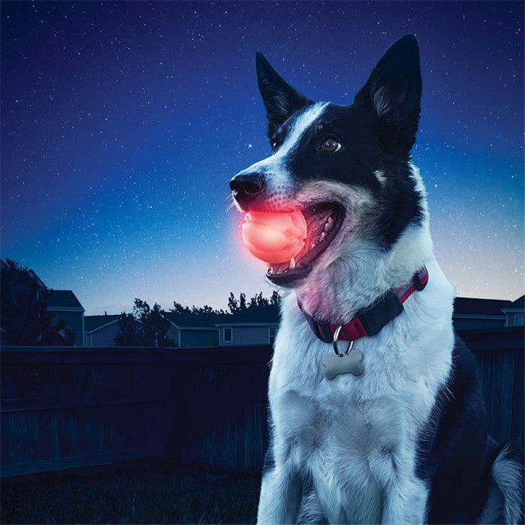 LED Glowing  Dog Biting Ball - maxsophie.com