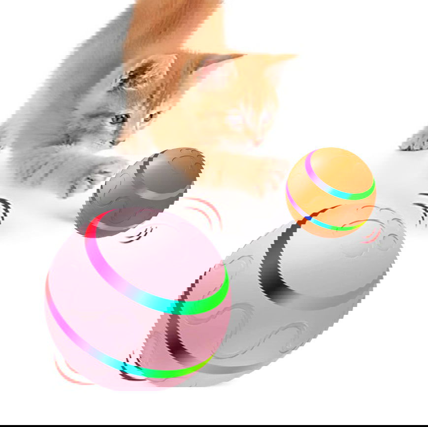New Cat Intelligent Ball USB - maxsophie.com