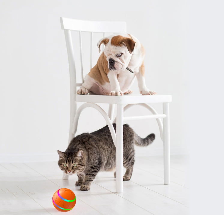 New Cat Intelligent Ball USB - maxsophie.com