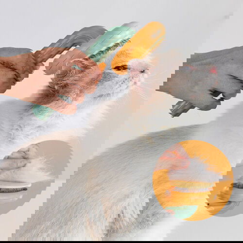 Pet Grooming Self Cleaning Brush - maxsophie.com