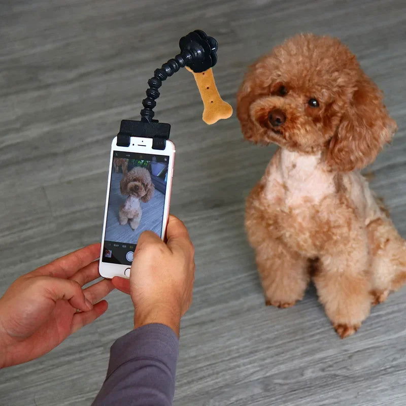 Pet Photography Tool - maxsophie.com