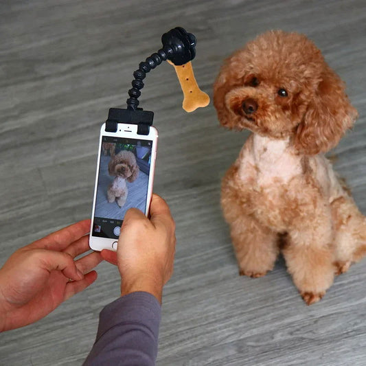 Pet Photography Tool - maxsophie.com