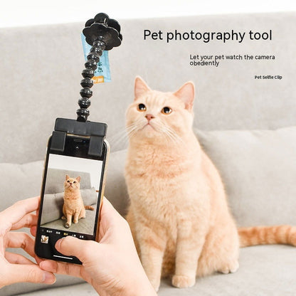 Pet Photography Tool - maxsophie.com