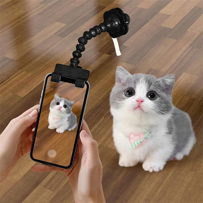 Pet Photography Tool - maxsophie.com