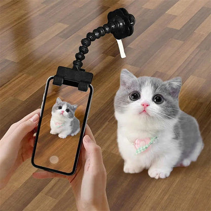 Pet Photography Tool - maxsophie.com