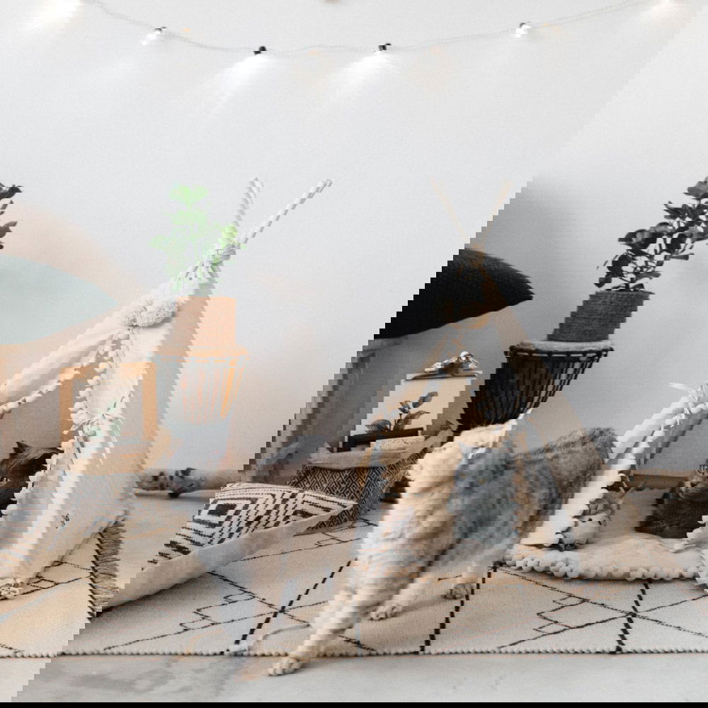 Pet Tent - maxsophie.com