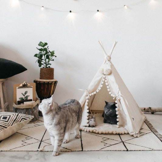 Pet Tent - maxsophie.com