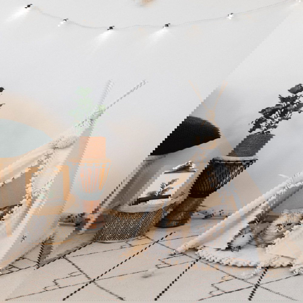 Pet Tent - maxsophie.com