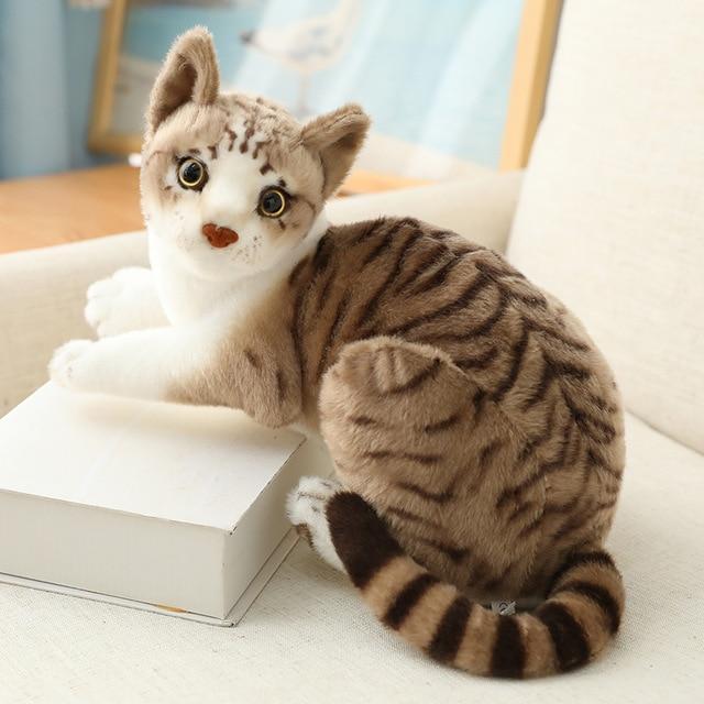 Plush Cat Toys - maxsophie.com
