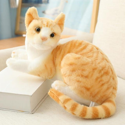 Plush Cat Toys - maxsophie.com