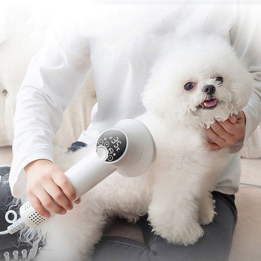 Smart Dog Hair Dryer - maxsophie.com