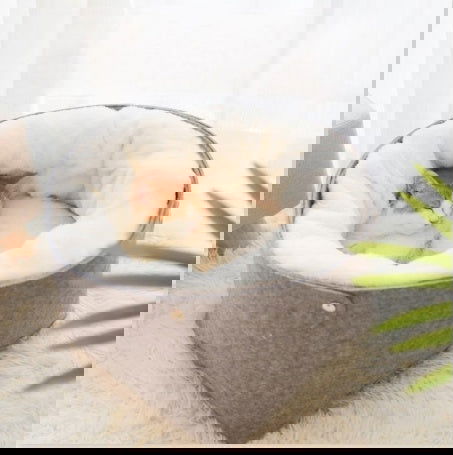 Warm Detachable Pet Bed - maxsophie.com