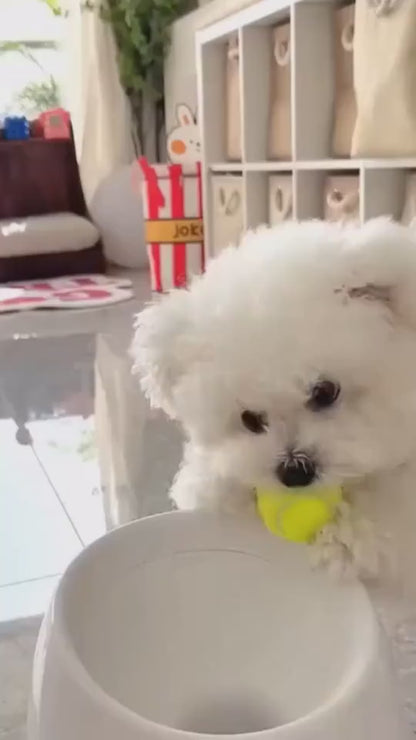 While you are busy, your dogs are active and have fun with our dog ball launcher